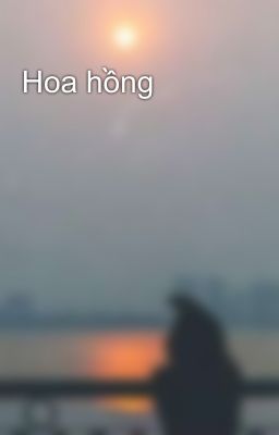 Hoa hồng 