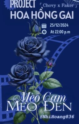 [Hoa Hong Gai | 22:00] Mèo Cam, Mèo Đen