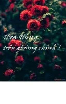 Hoa Hồng trên giường chính(4 chòm sao)