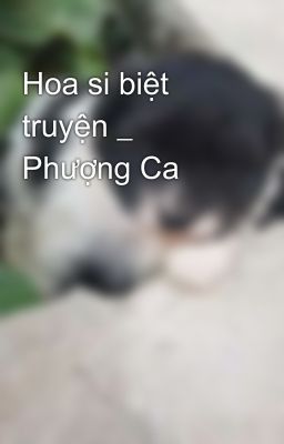 Hoa si biệt truyện _ Phượng Ca