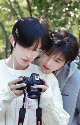 (Hoa Vịnh&Thịnh Thiếu Du)