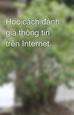 Học cách đánh giá thông tin trên Internet.