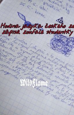 Hodina jazyka českého ze zápisků zoufalé studentky [True story]