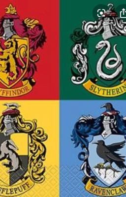 Hogwarts house interactions 