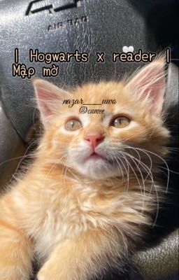 | Hogwarts x reader | Mập mờ