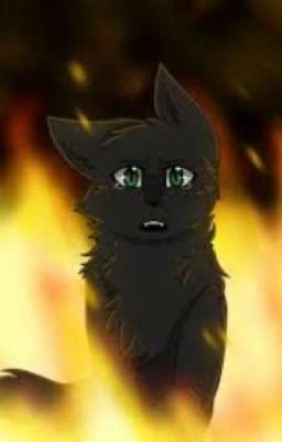 Hollyleaf New Life *tłumaczone pl*