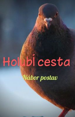 Holubí cesta // Nábor postav // ( VOLNO )