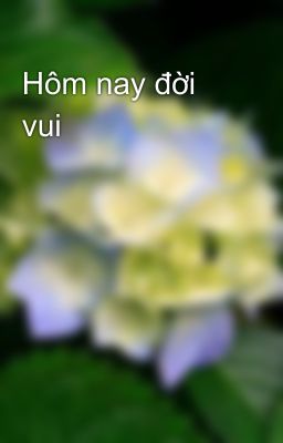 Hôm nay đời vui