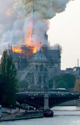 Hommage à Notre Dame de Paris