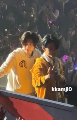 Hoonki | Chiến mã màu xám