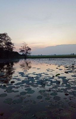 |HoonSuk| Kiếp Chồng Chung