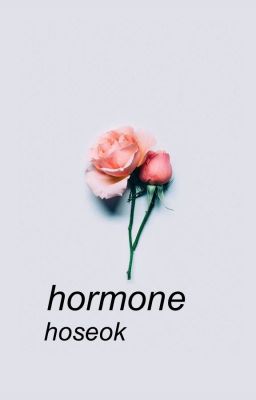 hormone - jung hoseok [temporarily discontinued]