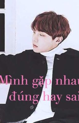 [Hoseok*Girl]Mình gặp nhau là đúng hay sai ??