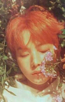 [Hoseok×T/b] Chuyện vợ chồng nhà Jung ✨