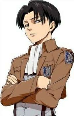 how did this happen (levi x reader )