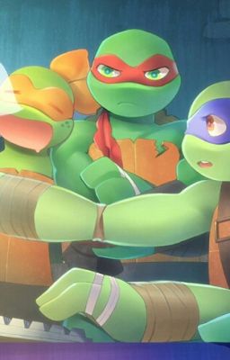 How Is This Possible? (A Tmnt Fanfic)