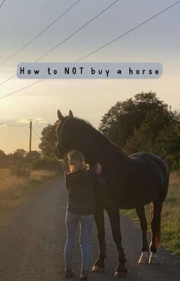 How to NOT buy a horse