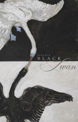 [HP] blackswan