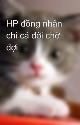 HP đồng nhân chi cả đời chờ đợi