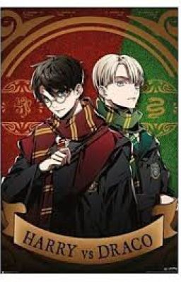 (HP) Draco x Harry tổng hợp