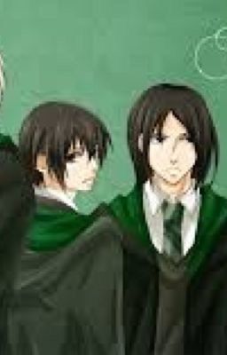 HP - Slytherin - Hành Vi Thủ Tục