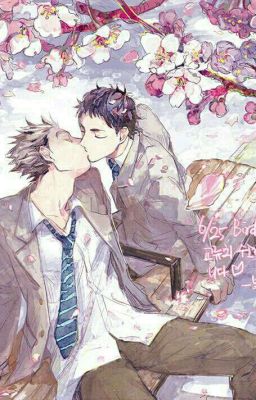 [HQ!! Haikyuu!! Fanfic][BokuAka] Lời Hứa Hoa Hướng Dương