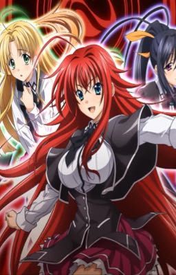 HS DxD Harem x OP Grey Warden Male Reader 