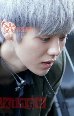 [Hunhan/BL] Nai Nhỏ Đáng Yêu