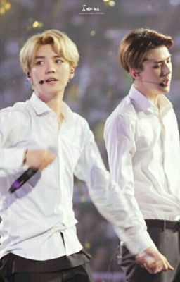 [ Hunhan ] Chồng Yêu Của Lộc Hàm