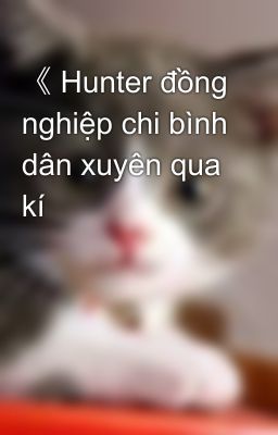 《 Hunter đồng nghiệp chi bình dân xuyên qua kí