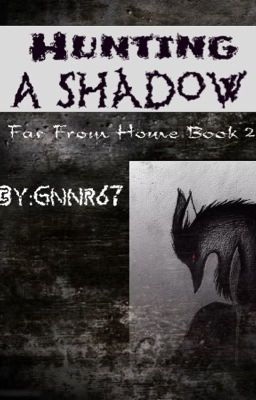 Hunting A Shadow [Shadow Fox Book 2]