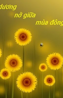 Huong duong no giua mua dong