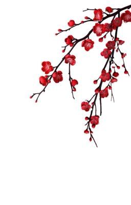 huycheng| textfic 