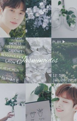 [HwangYoon][ThreeShort] Jasminoides 