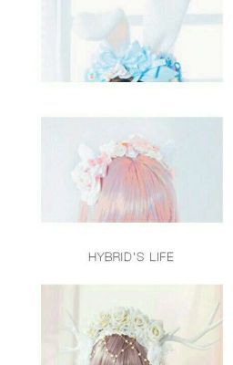 Hybrid's Life