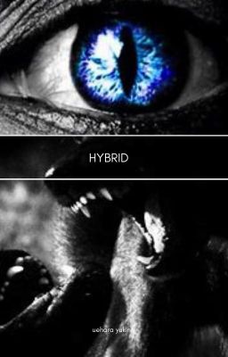 Hyrbid |wolf+Dragon AU|