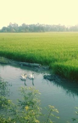 HYUCKREN/ Tôi đã thương em lâu rồi sao em chẳng nhận ra ...