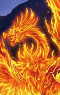 I am the Phoenix Dragon (Highschool DxD X Hurt Male Reader)