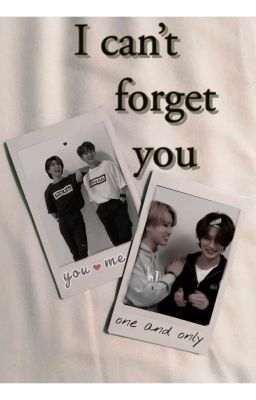 ✅I can't forget you... [Minsung vampire ff]✅