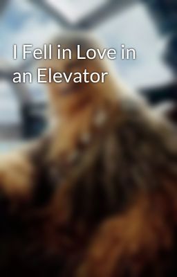 I Fell in Love in an Elevator