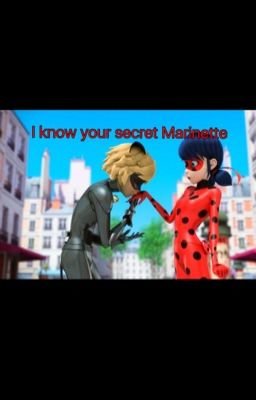 I know your secret Marinette 