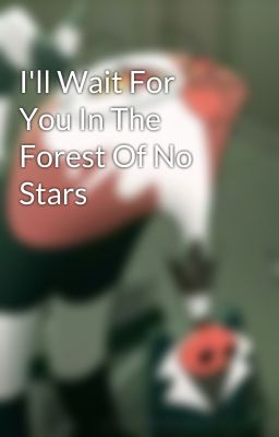 I'll Wait For You In The Forest Of No Stars