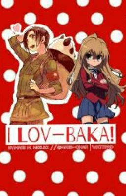 I lov-BAKA!(Tsundere!readerxChina)