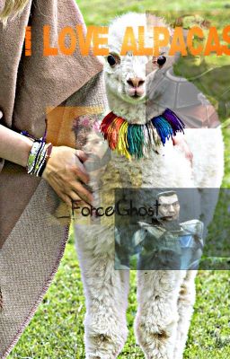 I Love Alpacas