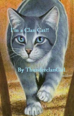 I'm a Clan Cat?!