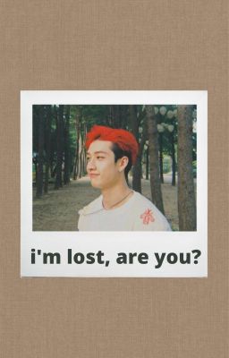 i'm lost, are you? | a stray kids neverland au