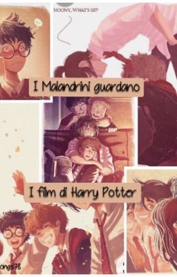 I Malandrini guardano Harry Potter 