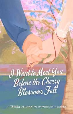 I Want to Meet You Before the Cherry Blossoms Fall