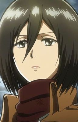 I Will Protect You (Mikasa Ackerman x Male Reader)