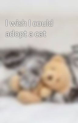 I wish I could adopt a cat